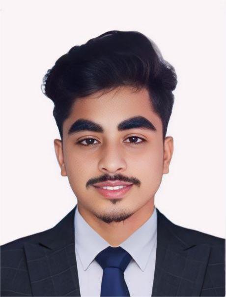 Developer Ripu working on WordPress website development